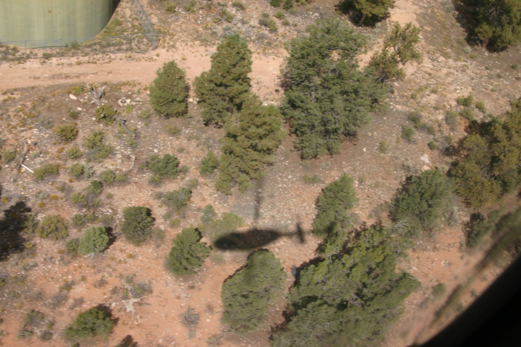 15 - Grand Canyon (10).JPG